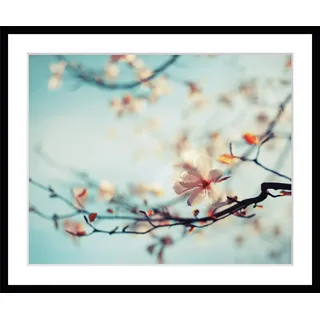 queence Bild »Roxy« Blumen   Blumenbilder   China   Pflanzenbilder, blau