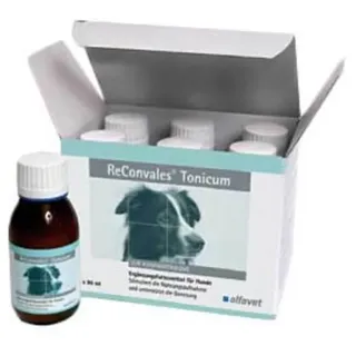 Alfavet ReConvales Tonicum für Hunde 6 x 90 ml