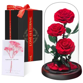 Ewige Rose im Glas, Drei Rote Rosen, Konservierte Echt Blume für 5 Jahre, Infinity Rose, Besondere Geschenk für Frauen, Mama, Freundin, für Sie, zum Valentinstag, Jahrestag, Geburtstag, Muttertagn​