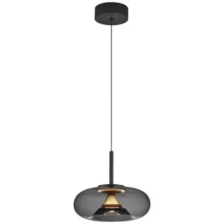 Helestra Led-Pendelleuchte , Schwarz, Goldfarben , Metall , 210 cm , Lampen & Leuchten, Leuchtenserien