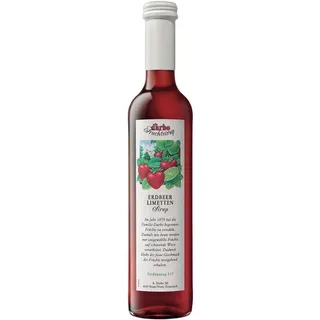DARBO Erdbeer Limette Frucht-Sirup 500 ml