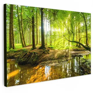 MuchoWow Leinwandbild Wald - Landschaft - Wasser - Bäume - Sonne - Grün - Natur Wanddeko 90x60 cm , Textil , Kiefer , Rechteckig , 90x60 cm , FSC 100% , gerahmt , Bilder & Rahmen, Bilder, Leinwandbilder