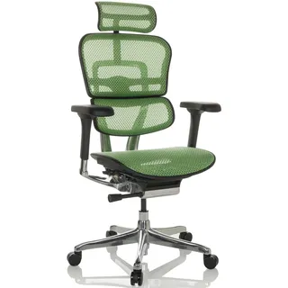 HJH Office ERGOHUMAN GEN2 Netz Grün