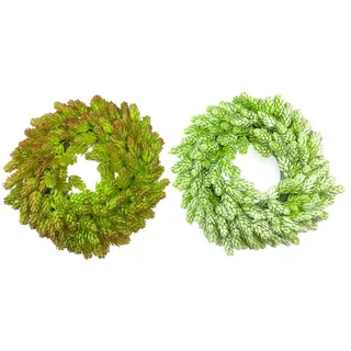 Herbstkranz aus Hopfen, Durchmesser 32 cm - Grün
