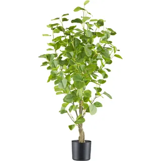 Creativ green Kunstbaum »Eukalyptus« mit sehr naturgetreu gestalteten Blättern, grün