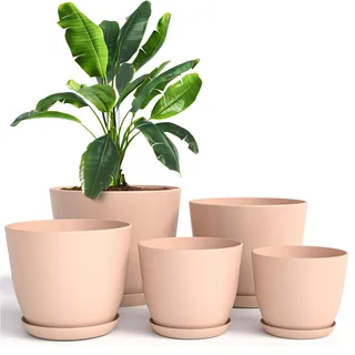 Utopia Home 5er-Pack 18 x 17 x 15 x 13 x 12 cm Rosa