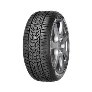 Sava Eskimo HP2 225/45 R17 91H