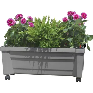 KHW Pflanzkasten Calypso 79 x 35 x 33 cm Grau