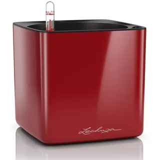 Cube Glossy 16 Komplettset 17 x 17 x 16 cm scarlet rot highgloss