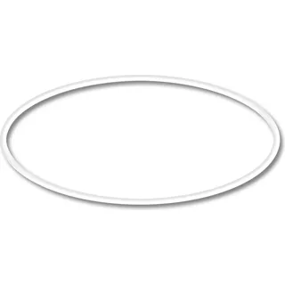 SunSun Ersatzteil für CUV-244 Teichklärer – O-Ring 2 – für Teichfilter, UV Leuchtmittel, UVC Klärer Zubehör