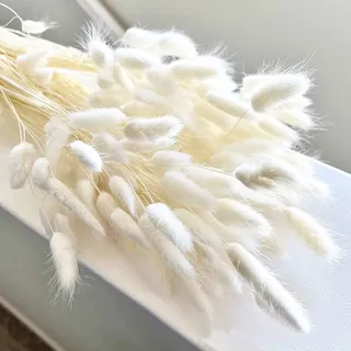 Jangostor 120 Stück Getrocknetes Pampasgras, 43CM Weißes Häschenschwänze Boho Pampasgras NatüRliche Blumendekoration für Hochzeit Boho Dekoration Fotografie Hintergrund Blumen Arrangements