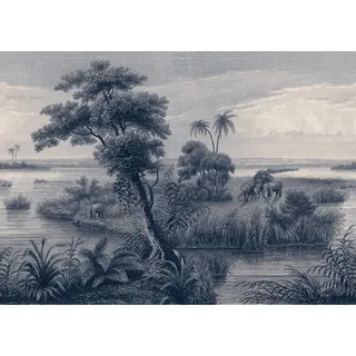 Rasch Textil Rasch Fototapete Wandbild Rasch Muster & Motive Blau-Mittelblau 556124, glatt, tropisch, Dschungel blau