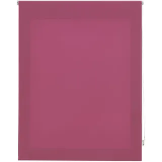 INTERBLIND Premium Rollo, transparent, glatt, 120 x 250 cm, Stoffmaß 117 x 245 cm, Lila, für Fenster