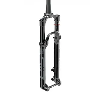 RockShox SID Select Charger Rl 3P DebonAir Boost 29" 120mm Federgabel gloss black Modell 2024 (00.4020.959.000)