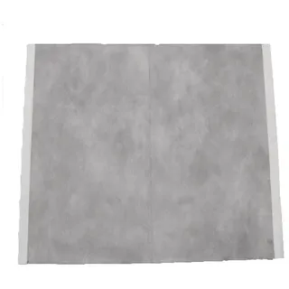Purus [153651888]