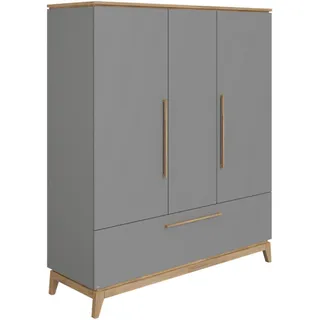 Paidi Drehtürenschrank Stiene 170 x 200 x 57 cm Grau