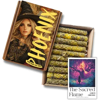 Phoenix Candle Company X10 Dressed Beeswax Zauberkerzen (Reichtum)