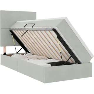 vidaXL LED-Speicherbett mit Matratze Hellgrau 90 x 200 cm Samt - Hellgrau