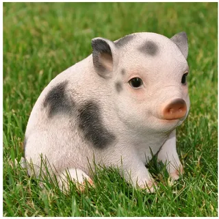 dazikemo Dekofigur Gartenfigur Schwein Ferkel