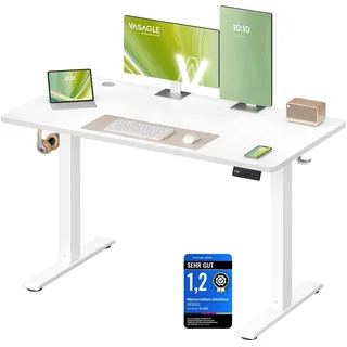 VASAGLE Schreibtisch Höhenverstellbar, Memory-Funktion mit 4 Höhen | 120 x 60 cm, Schreibtisch, Computertisch, Erinnerung bei langem Sitzen, für Büro, wolkenweiß LSD312WZ03