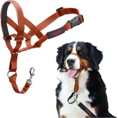 HALTI Kopfgeschirr - Verhindert, dass Ihr Hund an der Leine zieht, Einfache Anpassung, Leicht, mit gepolstertem Nasenriemen, Anti-Zug-Halsband für große Hunde (Größe 4, Dunkelorange)
