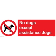 Schild mit Aufschrift "No dogs except aid dogs", 600 x 200 mm, L62