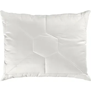 Sleeptex Kopfpolster , Textil , Füllung: Vlies, Lyocell,Polyester, Faserbällchen, Lyocell , 70x90 cm , Oeko-Tex® Standard 100 , für Hausstauballergiker geeignet, Aloe Vera versiegelt, temperaturausgleichend, feuchtigkeitsregulierend, weich und anschmiegsam, pflegeleicht, reines Naturprodukt, perfekte Stützfunktion, für alle Schlafpositionen geeignet, ökologisch, atmungsaktiv, hygienisch, individuell anpassbar, Tasche, für Seitenschläfer geeignet, für Bauchschläfer geeignet, für Rückenschläfer geeignet, mit Reißverschluss , Heimtextilien, Kopfpolster & Bettdecken, Kopfkissen, Kopfpolster