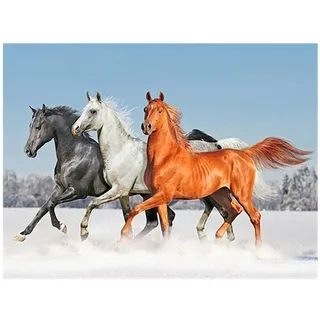 DCIDBEI Diamond Painting Pferde Quadratische Steine im Schnee 50x40cm | Stickbilder Erwachsene Landschaft Schnee Mit Eckigen Steinen Pferde und Pony Stickbilder Erwachsene Pferde Freundschaft