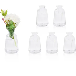 6 Stück Kleine Vasen für Tischdeko (11× 6,5cm) Mini Glasvase Set Blumenvasen für Tischdeko Hochzeit