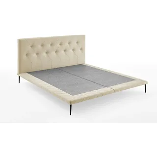 Atlantic Home Collection Designbett Palm 160 x 200 cm, Plattformbett ohne Matratze, Creme, 160/200 cm