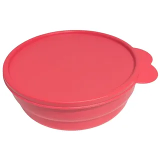 Tupperware Sommer Drops Schüssel mit Hängedeckel auslaufsicher Hitparade Frischedrops 350ml 350 ml Frischhaltedose (lachs 550ml)