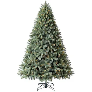 Evergreen Weihnachtsbaum Evergreen Vermont Grün 240 cm