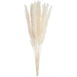 Butlers Trockenblumen Pampasgras Flower Market , Beige , Naturmaterialen , 30 cm , Dekoration, Blumen & Blumentöpfe