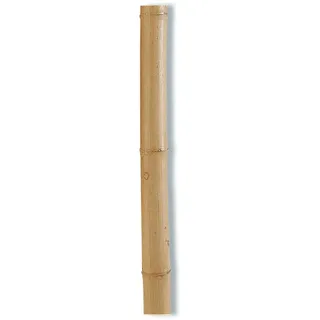 GROUW 73692 Bambus Pflanzentutor, braun, 1,1 x 120 cm
