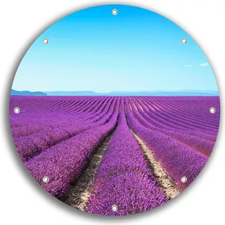 Wallario rundes Outdoor-Poster für Garten oder Balkon, Motiv Lavendelfeld unter blauem Himmel, 30 cm Durchmesser - Schwarz