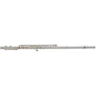 Gewa Roy Benson Querflöte FL-402R (Hochwertig, Neusilber-versilbertes Musikinstrument, mit Premium Ringklappen & Inline-Design, für optimales Spielgefühl, Inklusive Holzetui, Wischerstab & Putztuch)