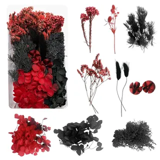Trockenblumen zum Basteln Trockenblumen Deko Trockenblumen Klein Getrocknete Blumen Deko Trockenblumen Basteln Trockenblumen Set für DIY Basteln Handwerk(schwarz und rot)