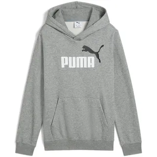 Puma ESS 2 Color No. 1 Logo Hoodie FL 685822-03 140