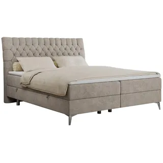 MKS Meble MKS Boxbett, Beige Struktur - H4 - Beige