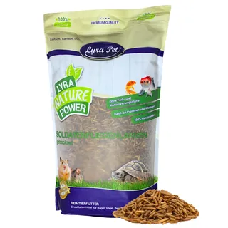 5 kg Lyra Pet® Soldatenfliegenlarven