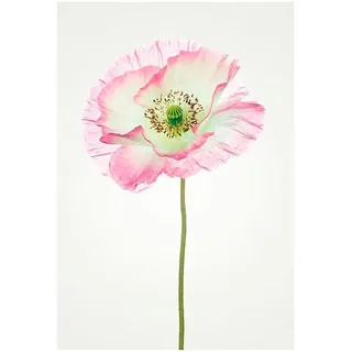 Komar Poster »Poppy«, Blumen, (1 St.), Kinderzimmer, Schlafzimmer, Wohnzimmer, bunt