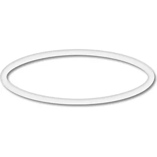 SunSun Ersatzteil für CLP-16000 Max Eco Teichpumpe – O-Ring 2 – für Teich, Pumpe, Skimmer, Bachlauf Zubehör