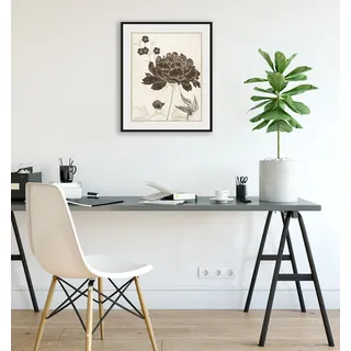 Bild QUEENCE "Russel", grau (farbe rahmen: schwarz, farbe bild(er): grau), B:40cm H:50cm, Acrylglas, Holz, Papier, Bilder, Bild, HD Premium Poster-Druck inkl. Holzrahmen