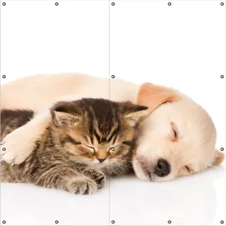 Wallario Outdoor-Poster für Garten oder Balkon, Motiv Katze und Hund in Harmonie - Kuschelnde Tiere, in ca. 180 x 180 cm - Braun