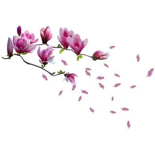 Walplus Magnolien-Blumen-Wandaufkleber, Vinyl, 60 cm L X 30 cm W