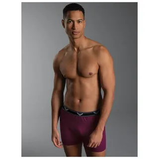Boxer TRIGEMA "TRIGEMA Bequeme Pants mit Webgummibund", Herren, Gr. L, 1 Stk., rot (sangria), 95% Baumwolle, 5% Elastan, Unterhosen Boxer