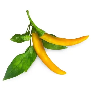 Click & Grow - Smart Garden Refill 3-pack Yellow Chili Pepper