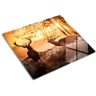 Tulup Glasplatte 60x52 cm Sonnenaufgang über dem Hirsch , Glas , 60x0.4x52 cm , Küchen, Küchenelektrogeräte, Herde, Herdabdeckplatten