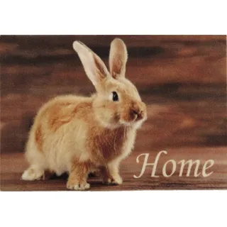 Ilias Trade Deco-Star Teppich, Mehrfarbig, Einheitsgröße