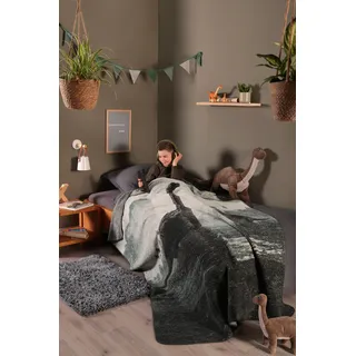 Wohndecke BIEDERLACK "Wohndecke Brachio", bunt (anthrazit, grün), B:150cm L:200cm, Baumwolle, Polyacryl, Polyester, Wohndecken, Wohndecke, Wohndecke Brachio mit den Riesen der Urzeit